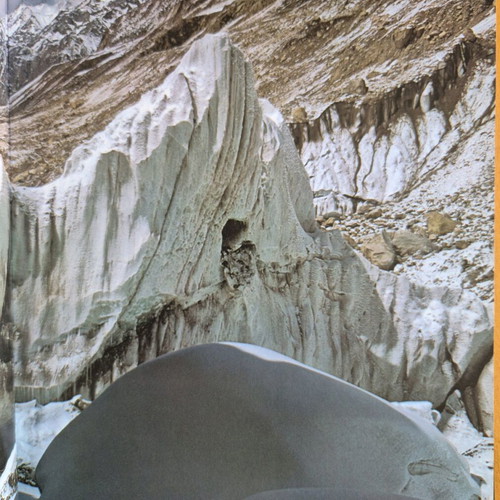The Himalayas-The worlds wild places book used, English