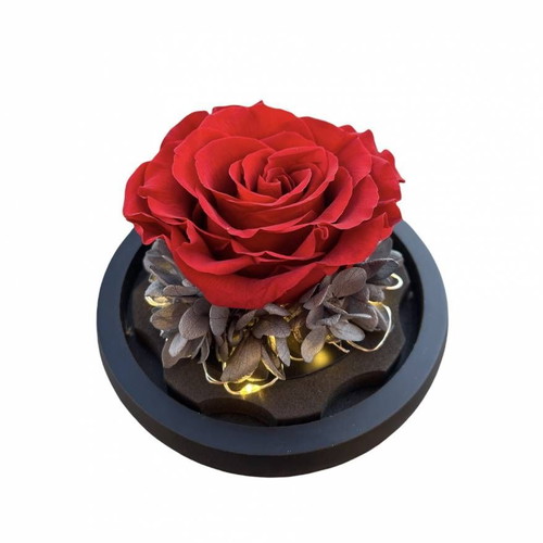 Forever Rose Red Rose in Glass with Led new 13cm x 12cm