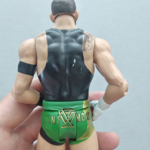 Bobby Fish WWE Pro-Wrestling Action Figure Toy like new