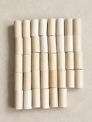 Cardboard rolls pack of 38 new for crafts and projects