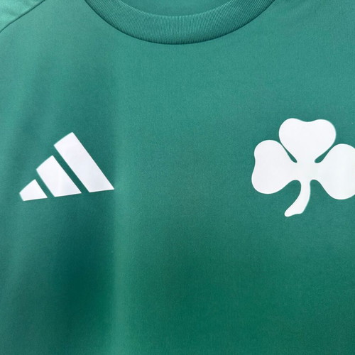 Panathinaikos training shirt 2025-26, medium