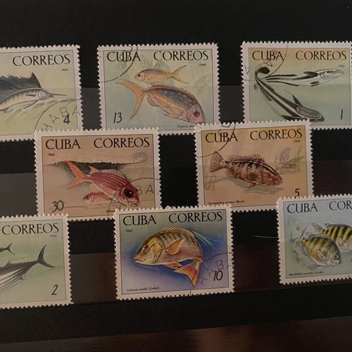 Fish of the National Aquarium stamp collection used, Cuba 1965, set of 8