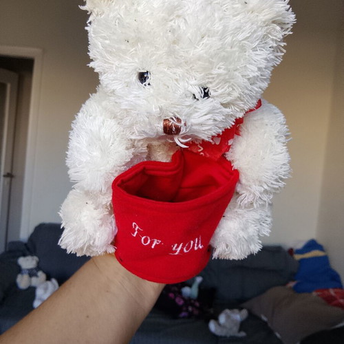 Plush teddy bear in excellent condition