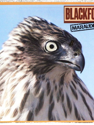 Blackfoot Marauder CD μεταχειρισμένο, southern rock