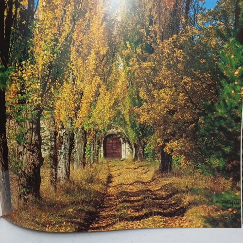 Castles of the Trentino book like new, trilingual, hardcover