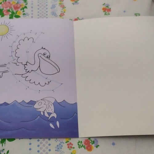 Set of 4 coloring books
