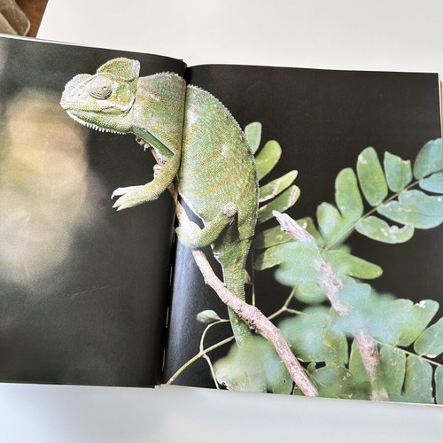 Great Children's Encyclopedia Animal Kingdom I used, Kathimerini