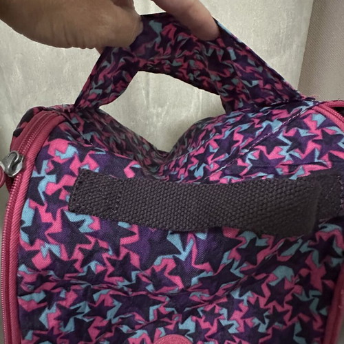 Kipling insulated lunch bag