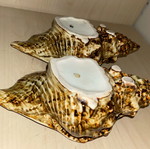 Japanese Ceramic Shells vintage pair with iridescent glaze