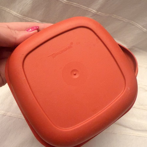 Tupperware Ice Cube Keeper Container 1466 vintage, used