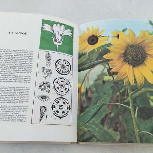 The Life Under the Microscope Vintage Hardcover Book like new