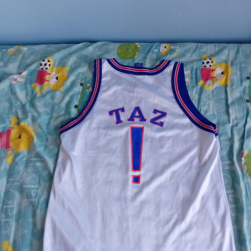 NBA Space Jam Champion 90s jersey used, authentic, size XL 18-20