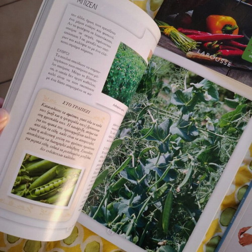 Larousse gardening magazines for everyone like new, pack of 4