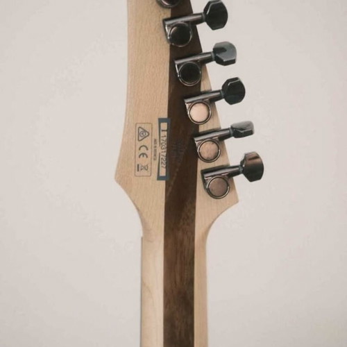 Ibanez PWM 10 Custom electric guitar with Bare Knuckle Ragnarok & SH-1 59 pickups