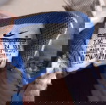  Nike παιδικά αθλητικά νο24