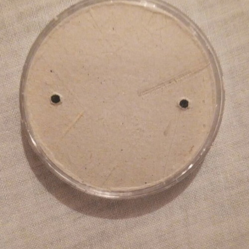 Mini skill game with cow design used
