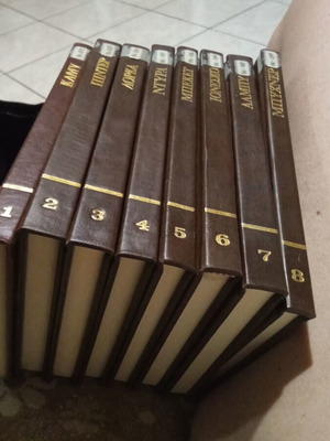 World Theatre Collection 8 Leather-Bound Volumes like new