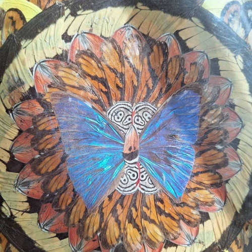 Decorative trays with real butterflies new, 70-year-old heirloom set of 2