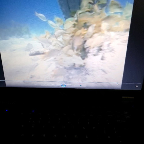 Atlantis The Lost Civilization DVD like new, dubbed