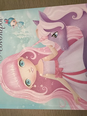 Book with princesses and unicorns like new
