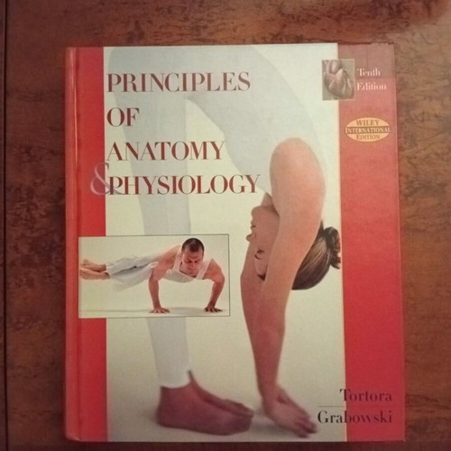 Anatomy books premium editions, like new, art and academic