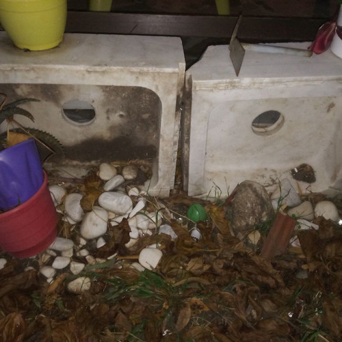 Marble sinks used in various sizes