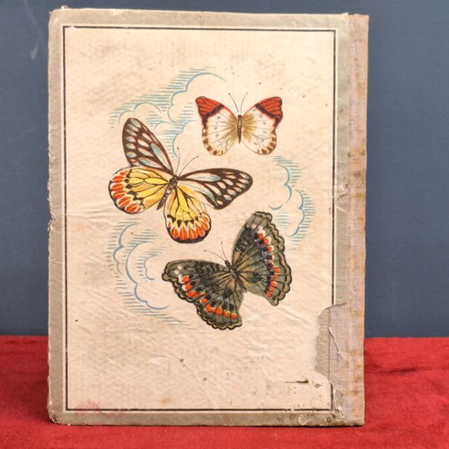 Zoology used, first edition 1950 by Panagiotis G. Tsilithras
