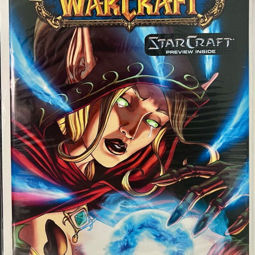 Wildstorm Comics World of Warcraft Comic Issue 19 2007 like new