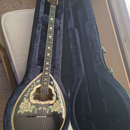 Bouzouki 8-string new with pickup and case by Stamkos