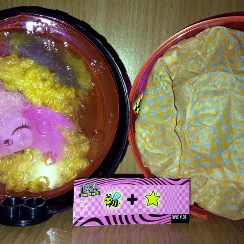 LOL Surprise Tweens Cora, Hair Hair Hair Valley BB and Lights Pets Valley PU family new