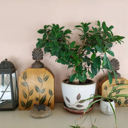 Decorative veranda lantern and two used decorative vases with lids