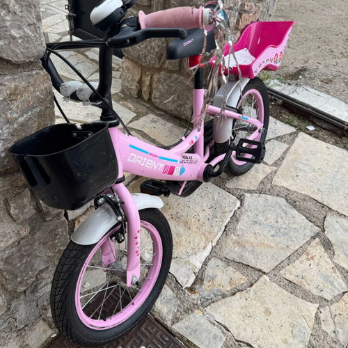 Orient Terry 14-inch children's city bike