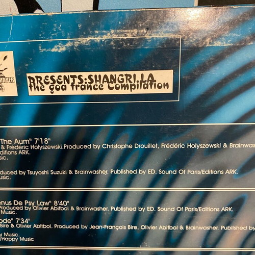 Goa trance vinyl records used, 2 LP collection