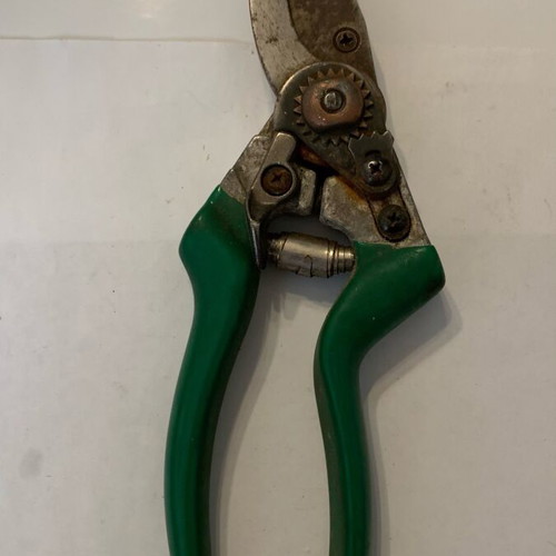 Pruning shears used