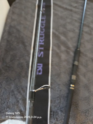 Tsurinoya Struggle 10-30 spinning rod used, very good condition