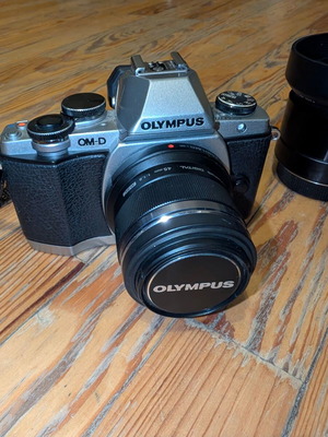 Olympus OM-D E-M10 camera with 2 prime lenses and accessories