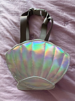 Shell bag for small dog like new