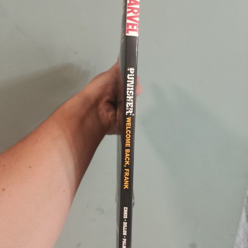 Marvel Knights The Punisher: Welcome Back Frank graphic novel