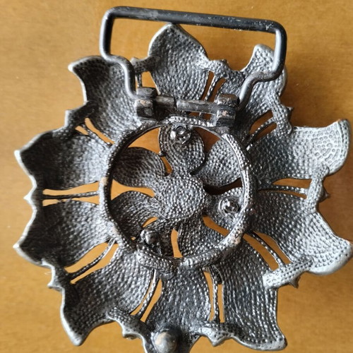 Belt accessory new