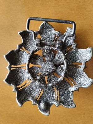 Belt accessory new