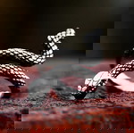 Ατσάλινο Δαχτυλίδι Snake
