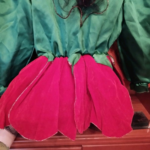 Carnival costume Elf like new