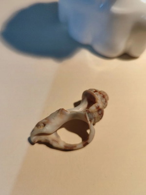 Natural shell ring new, beige