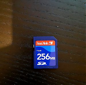 Κάρτα μνήμης SD 256 MB