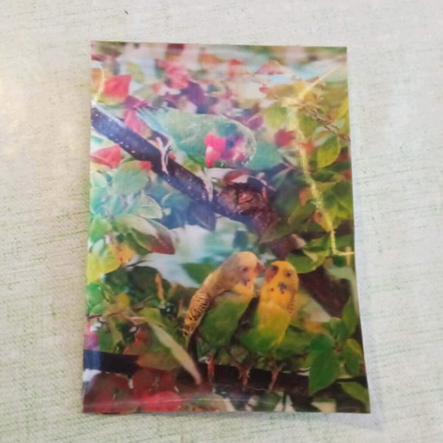Vintage Τρισδιάστατη Καρτ Ποστάλ 3D Lenticular Παπαγαλάκια με φθορές πίσω