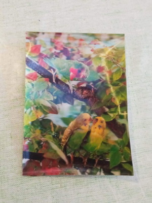 Vintage Τρισδιάστατη Καρτ Ποστάλ 3D Lenticular Παπαγαλάκια με φθορές πίσω