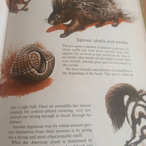 Book Mammals Strange & Exotic like new, 1965 English edition