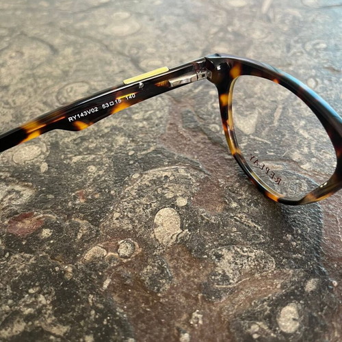Replay women's glasses, black and brown