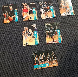 Κάρτες του μπασκετικού ΠΑΟΚ σεζόν 1998-99 πακέτο στα 35 ευρω