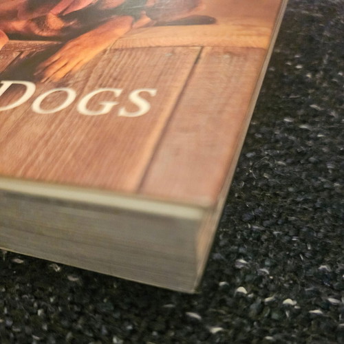Book with dog breeds like new, small size, in English